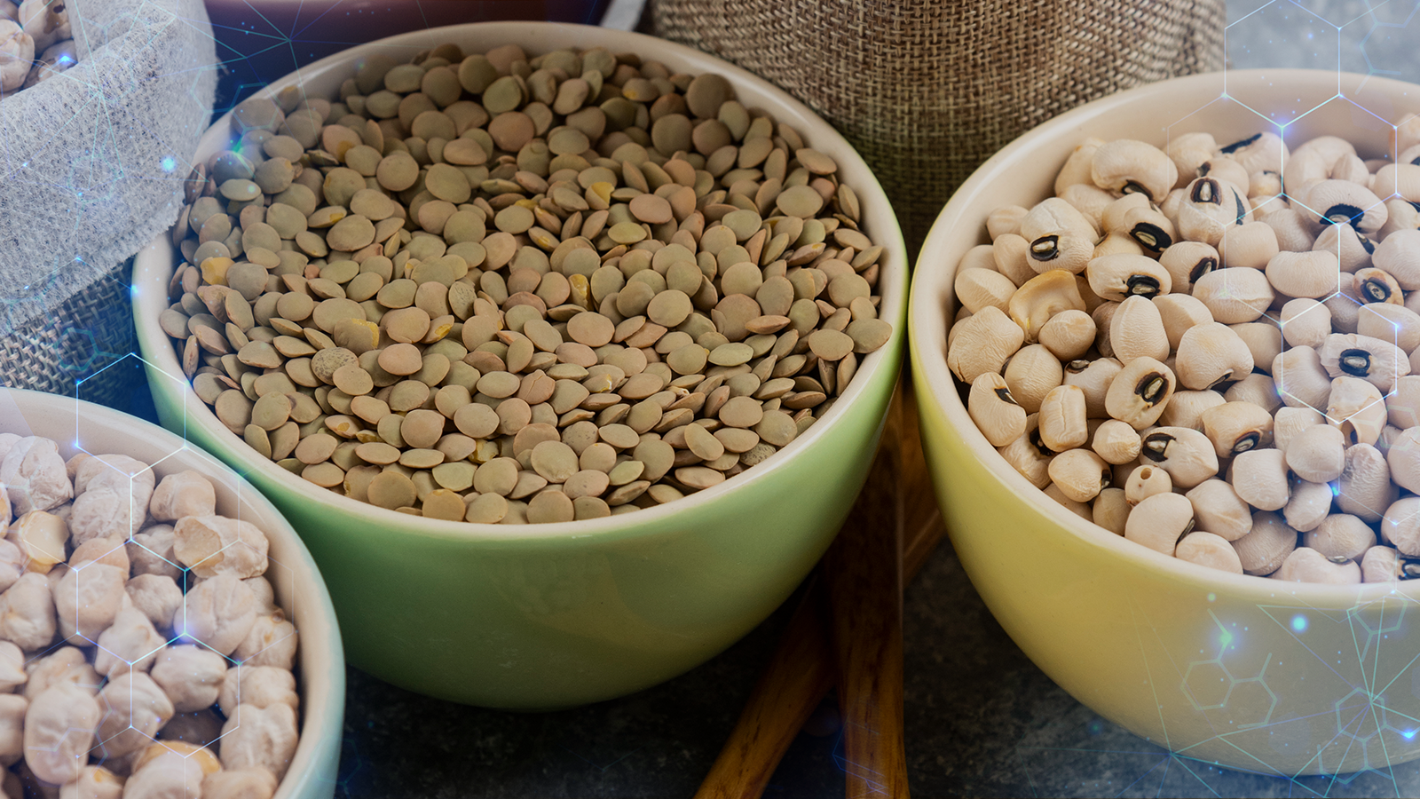 Proteína vegetal funciona mesmo? Descubra os benefícios e quando suplementar