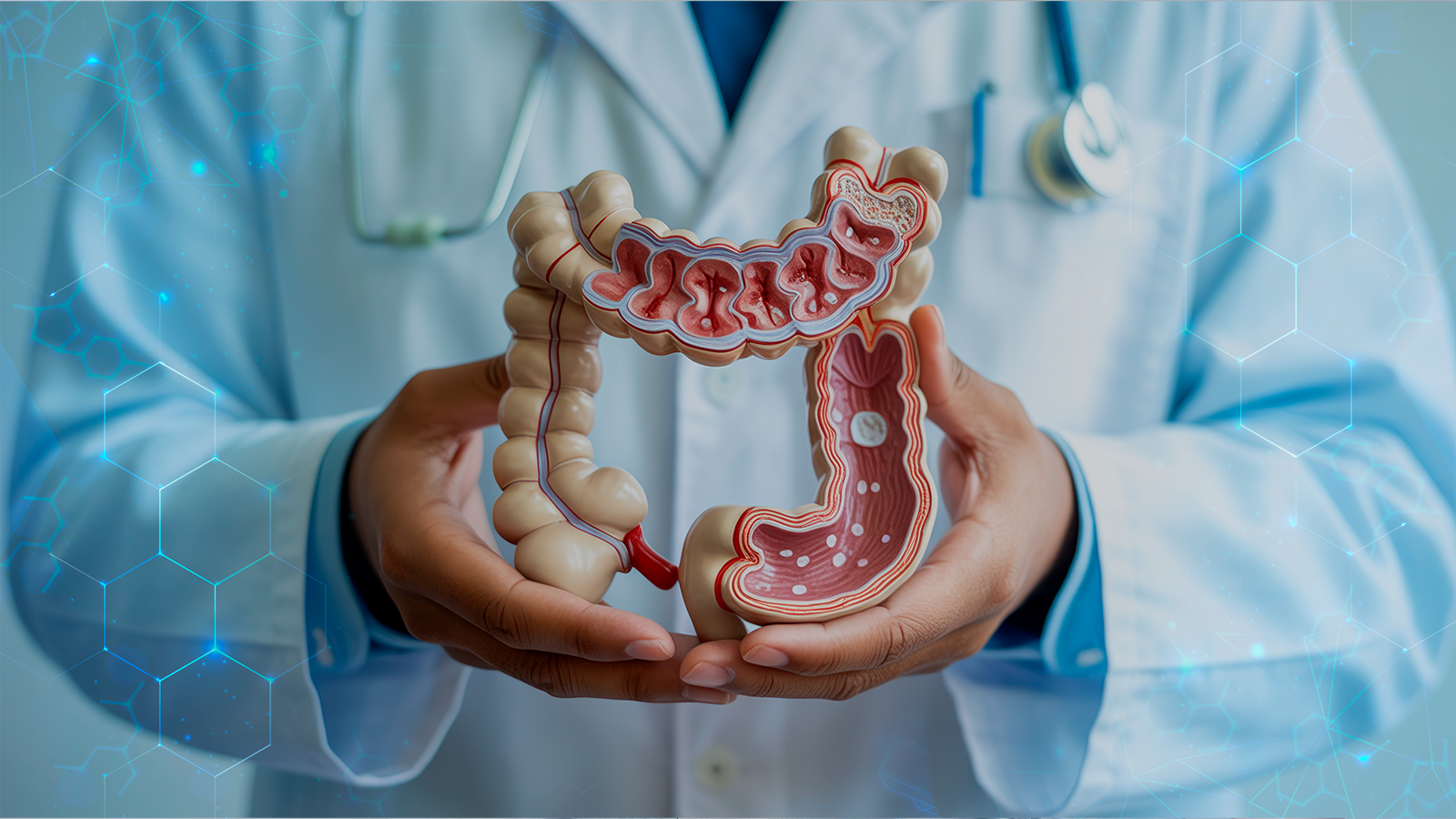 Câncer colorretal: conheça os fatores de risco e como se prevenir de um dos tipos mais comuns no Brasil